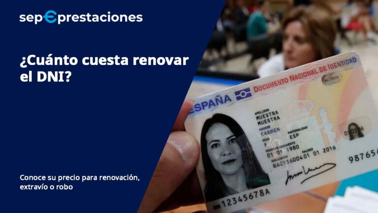 Cuanto Cuesta La Monarquia A Cada Español