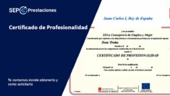 certificado de profesionalidad