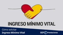 ingreso mínimo vital