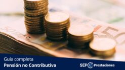 pension no contributiva